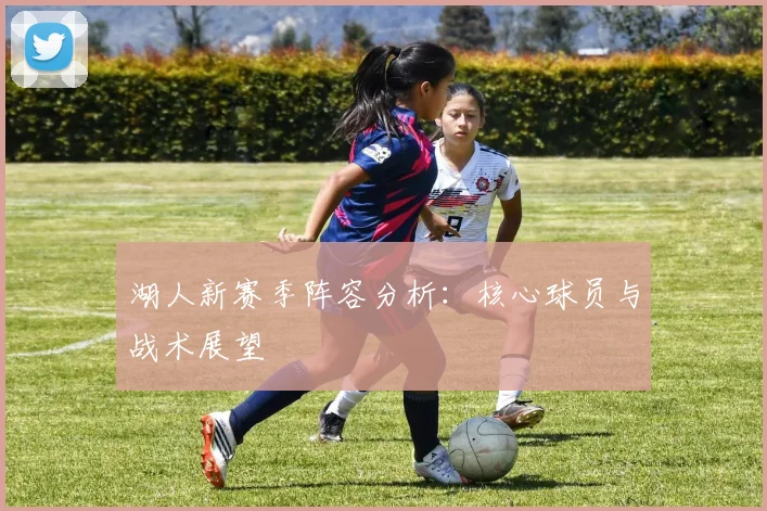 湖人新赛季阵容分析:核心球员与战术展望